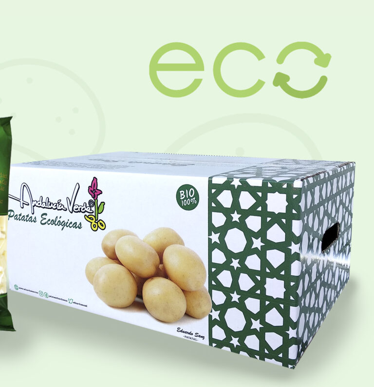 Productos Eco 1 Productos Eco